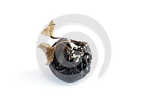 black rotten apple with mold and mold on a white background