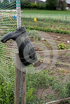 Black rubber boots on the garden fence