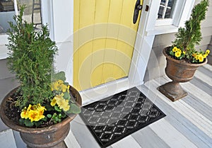 Black Rubber Ellipse Design Eyes Floor Door Mat outside home with yellow flowers and leaves