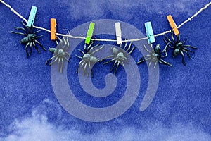 Black rubber spider toys hang on colorful clothespins on blue velvet paper background with smoke. Halloween october concept.