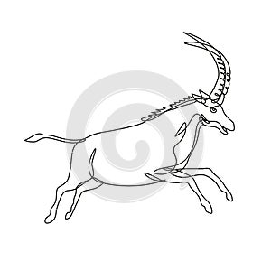 Black Sable Antelope or Hippotragus Niger Jumping Continuous Line Drawing photo