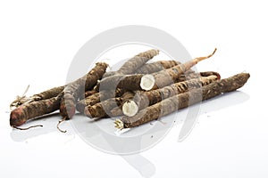 Black Salsify on white background
