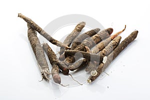 Black Salsify on white background