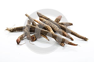 Black Salsify on white background