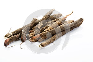 Black Salsify on white background