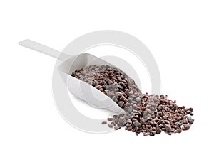 Black salt and scoop on white background