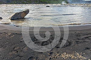 Black sand beach near Dettifoss Waterfall, North Iceland