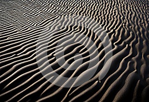 Black Sand dune. Black Sand beach macro photography