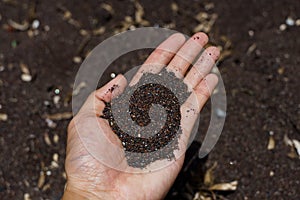 Black sand in hand at Perissa beach, Santorini, Greece