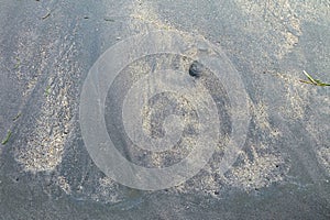 Black sand and white sand mingle on the sanur beach