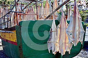 Black Scabbard drying in the sun