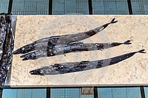 Black scabbard fish