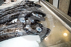 Black Scabbard Fish in the fish hall at the Mercado dos Lavradores or the Market of the Workers