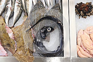 Black scabbard fish in Portugal photo