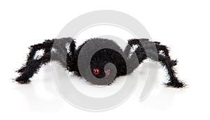 Black scary hairy toy spider