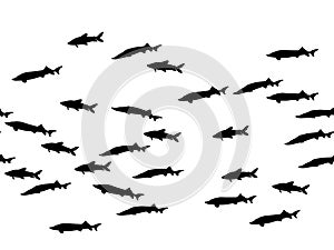 Black school of fish swimming vector illustration