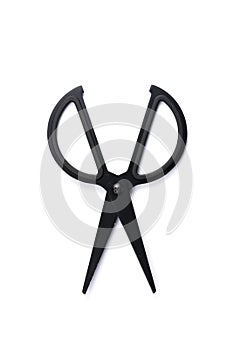 Black scissors