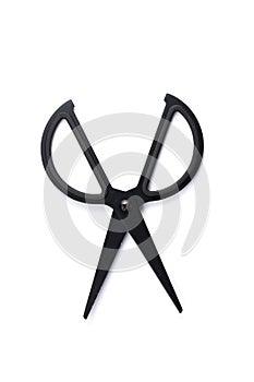 Black scissors