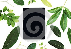 Black screen pad and vivid green leaf on white background. User interface of ipad app mockup with green foliage. photo