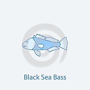 black sea bass 2 colored line icon. Simple light and dark blue element illustration. black sea bass concept outline symbol design