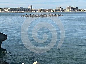 The Black Sea coast in Constanta city, Romania