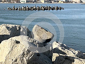 The Black Sea coast in Constanta city, Romania with tetrapods to protect the city