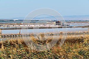 Black Sea salt pans. Salt extraction from Atanasovsko Lake near Burgas, Bulgaria