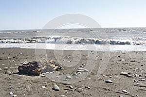 Black Sea. Sea waves. Sochi