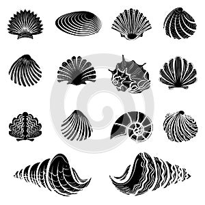 Black sea shells silhouettes collection