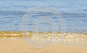 The Black Sea shore, seaside and beach with gold sands, blue water and waves