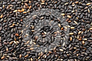 Black sesame seed