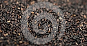 Black Sesame Seeds, Rotating Macro Shot