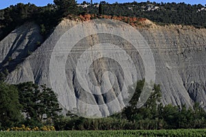 Black shales in Corbieres, France