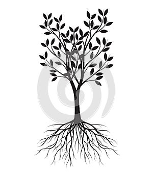 Black shape of Tree with Leaves and Roots. Vector outline Illustration. Plant in Garden