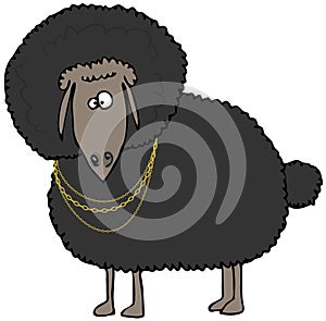 Black Sheep