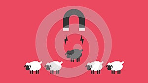 Black sheep business , outstanding, different, competitive advantage concept ,Vector cartoon design