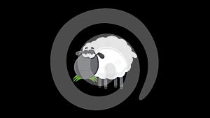 Black Sheep Cartoon Character Walking Looped