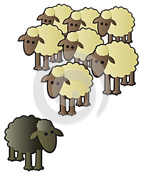 Black Sheep and Flock