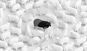 Black sheep stands out among white sheep in crowd, unique contrast, symbolizing individuality and nonconformity photo