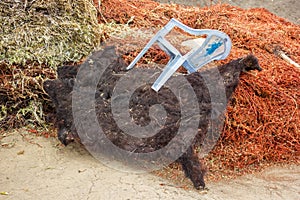 A black sheepskin rug and hay