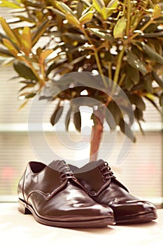 Black shiny men shoes