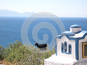 Black Ship watching the Sea