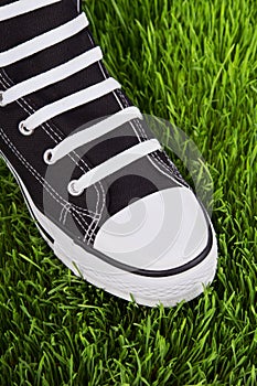Black shoe on the green lawn