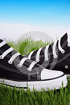 Black shoes on a green grass