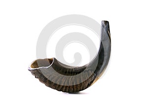 Black shofar