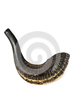Black shofar