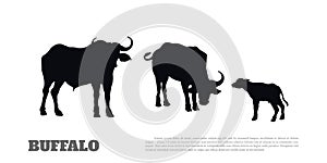 Black silhouette of african buffalo on white background. Isolated scene with bull family. Landscape with wild animals