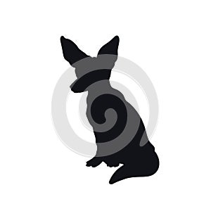 Black silhouette of african fenech fox. Isolated icon. Wild animals of Africa. Savannah nature. Desert wildlife