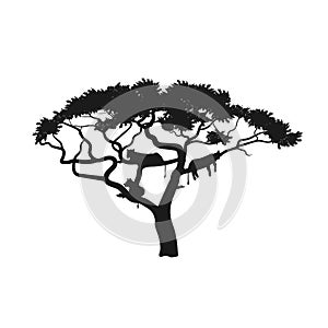 Black silhouette of african tree with lions. Isolated image of savannah animals. Forest landscape of Africa