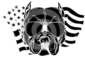 black silhouette of American Pitbull Terrier dog wearing sunglasses - isolated vector illustration